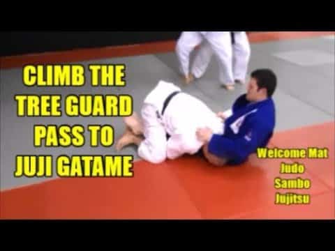 CLIMB THE TREE GUARD PASS TO JUJI GATAME