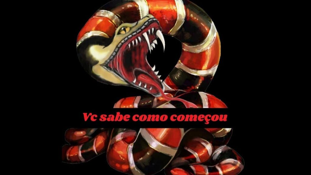 COMO O JIU JITSU COMEÇOU, ANTES DOS CAMPEONATOS