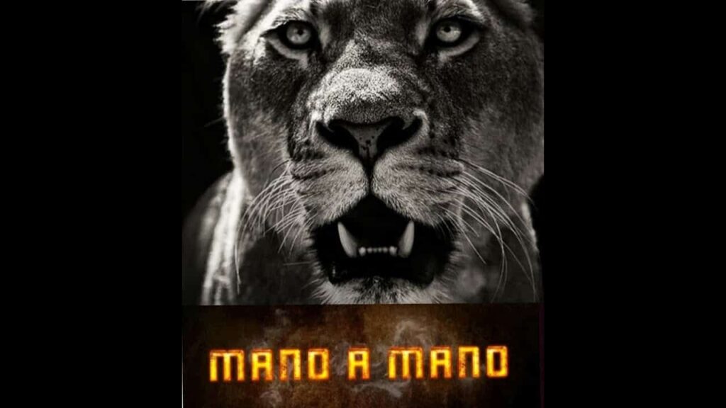 CROLIN GRACIE REVELA O PLANO DE PEGAR MIKE TYSON E CHOCAR O MUNDO