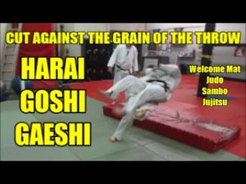CUT AGAINST THE GRAIN OF THE THROW HARAI GOSHI GAESHI