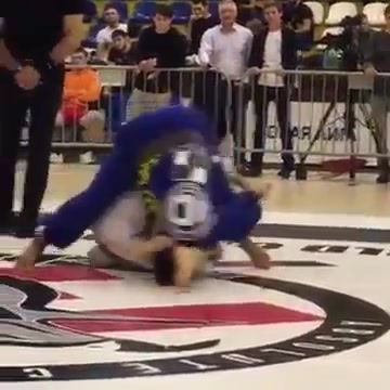 Caio Terra Armbars