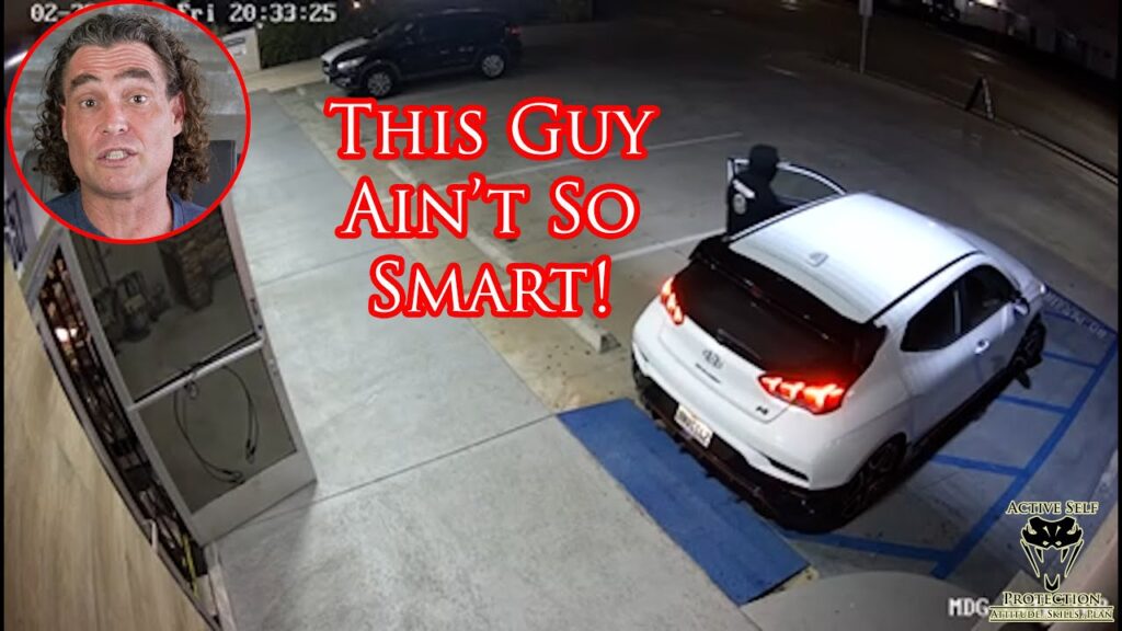 Car Thief Gets A Fat Lip From Angry Car Owner