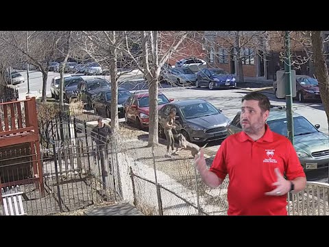 Chicago Jogger Runs From A Pitbull
