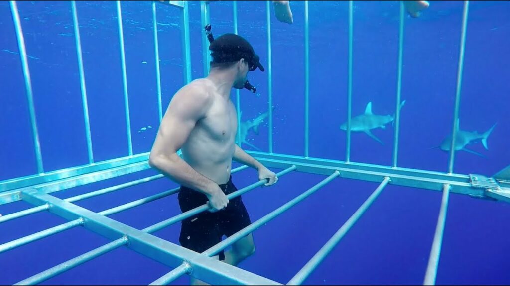 Chokes and Sharks in Hawaii! (Gracie Immersion Camp 2015)