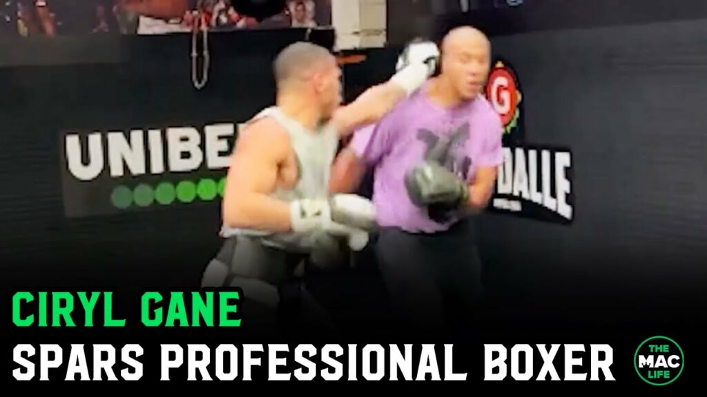 Ciryl Gane spars undefeated professional boxer