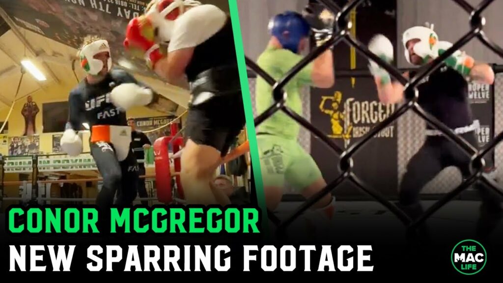 Conor McGregor New Sparring Footage from 2024