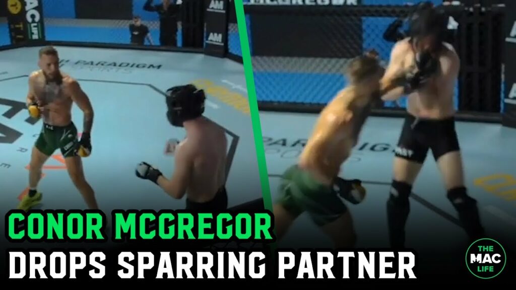 Conor McGregor drops sparring partner with HUGE left hand