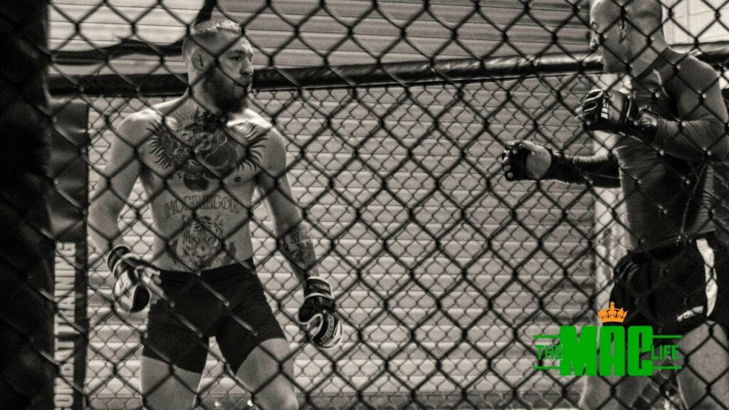 Conor McGregor sparring ahead of UFC 205: The Mac Life Day 1 Series 2 SBG