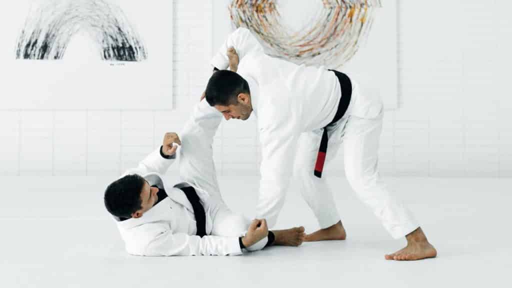 Controle De Distancia Por Cima | Gui Mendes & Tainan Dalpra | artofjiujitsu.com