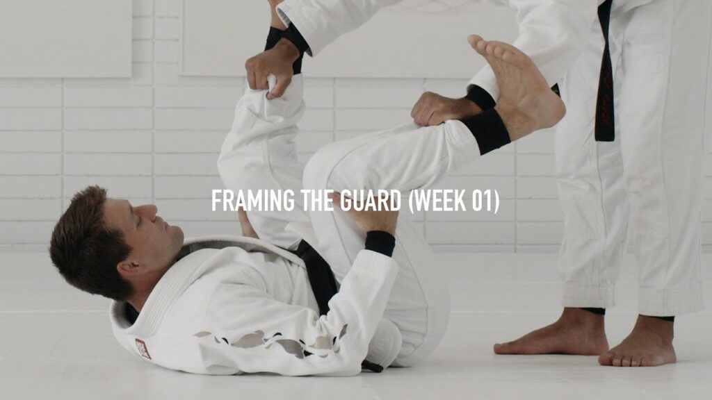 Curriculum: Framing the Guard (Rafael Mendes) | AOJ+