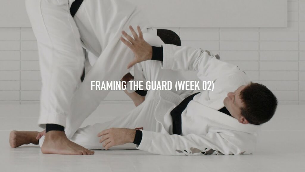 Curriculum: Framing the Guard Versus the Toreando Pass (Rafael Mendes) | AOJ+