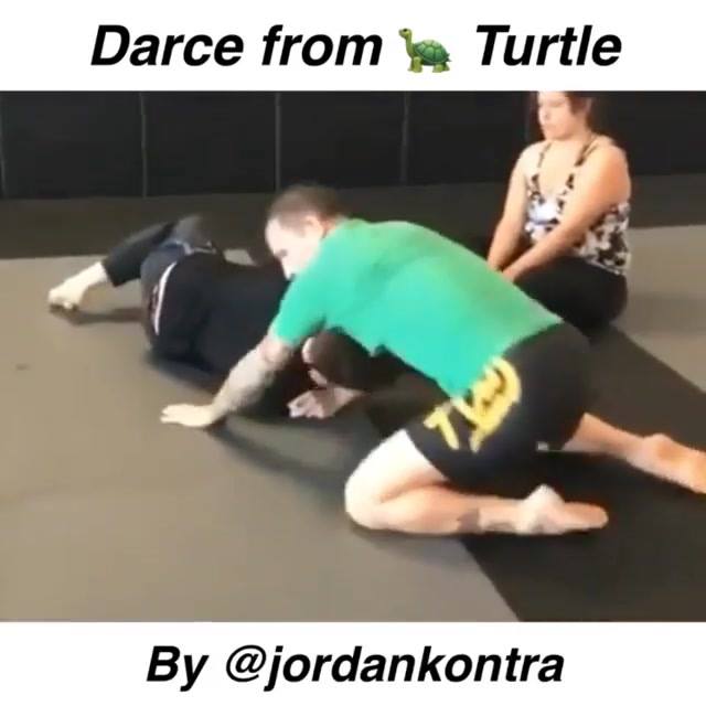 D'Arce from Turtle