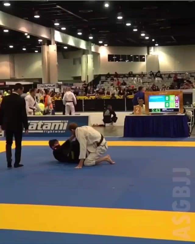 DLR Ankle Trap Sweep