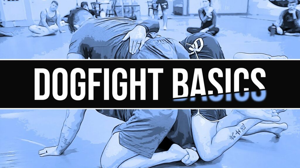DOG FIGHT BASICS (Plan B & Oldschool Sweep)