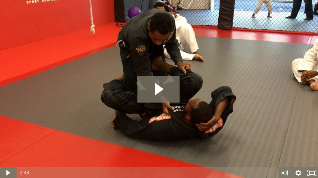 Denilson Pimenta - Pass DLR - Drill - Gi a