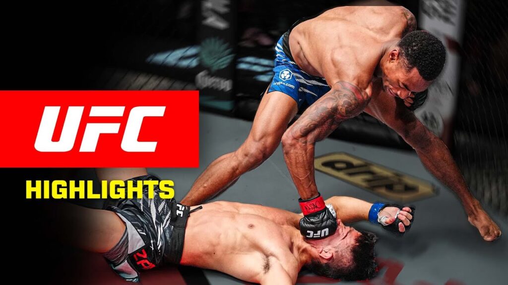 EVERY KNOCKOUT From UFC Vegas 109! π¨
