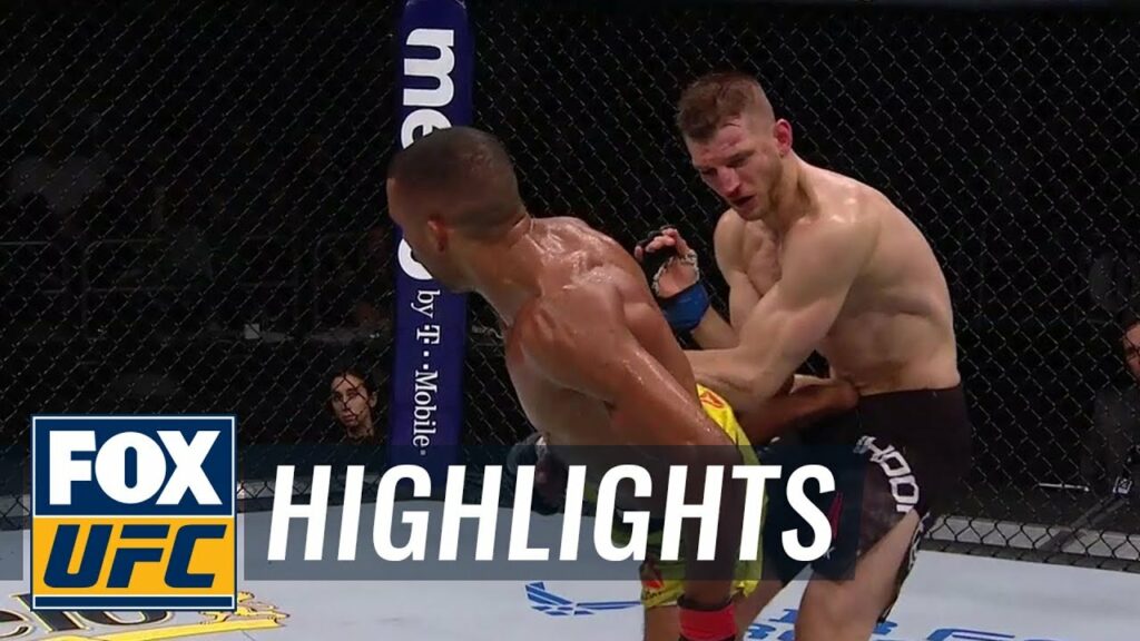 Edson Barboza KO's Dan Hooker | HIGHLIGHTS | UFC on FOX