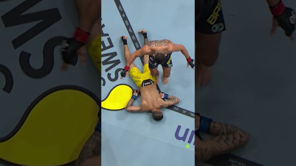 Elves Brener put him to SLEEP!! 😴 #ufcvegas108