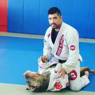 Excuse me sir, when will the Adult Dogs Comp class start?
Gracie Barra Kissimmee