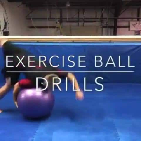 Exercise Ball Drills by @the_jiujitsu_ronin