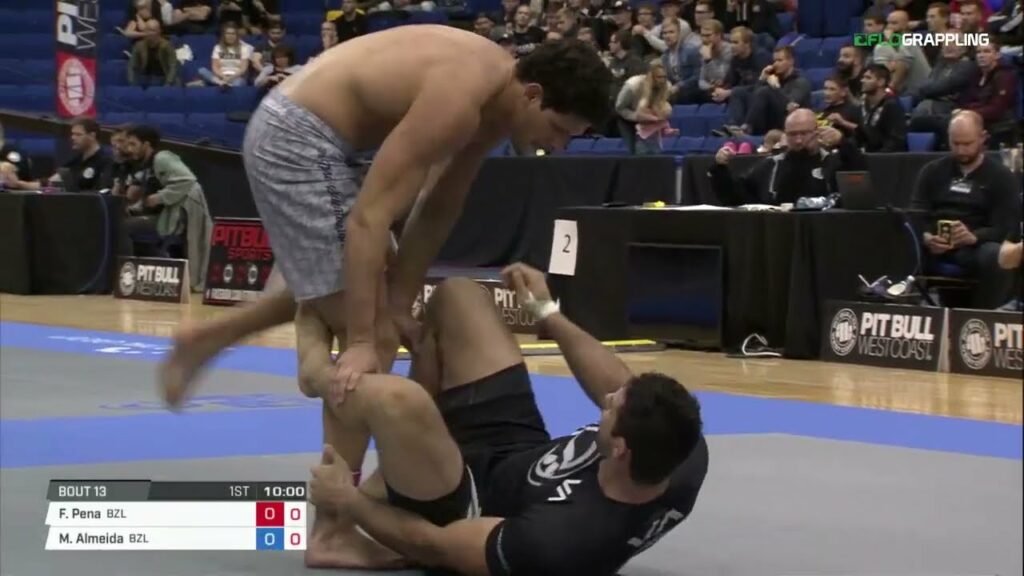 Felipe Pena vs Marcus Almeida | ADCC 2017 World Championships