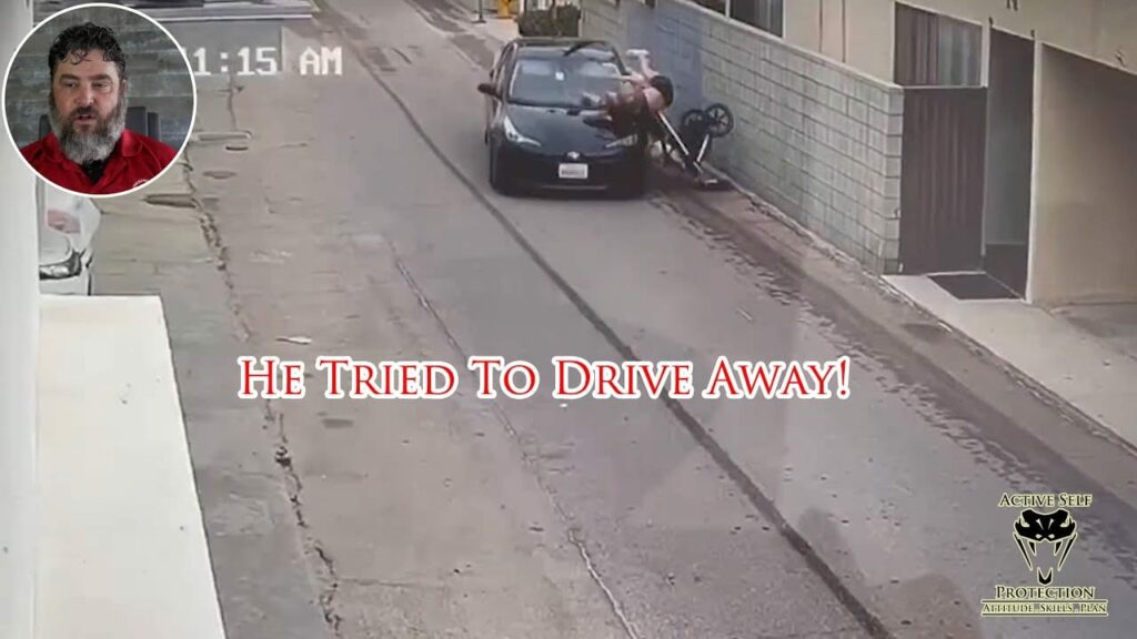 Felon Hits Mother And Her Child With His Car