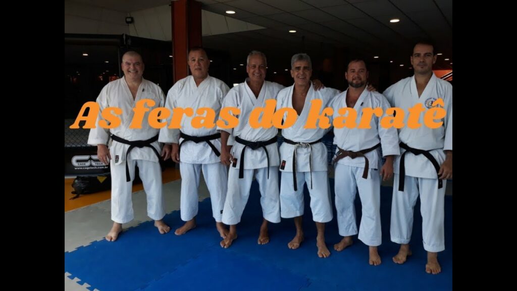 Feras do Karatê