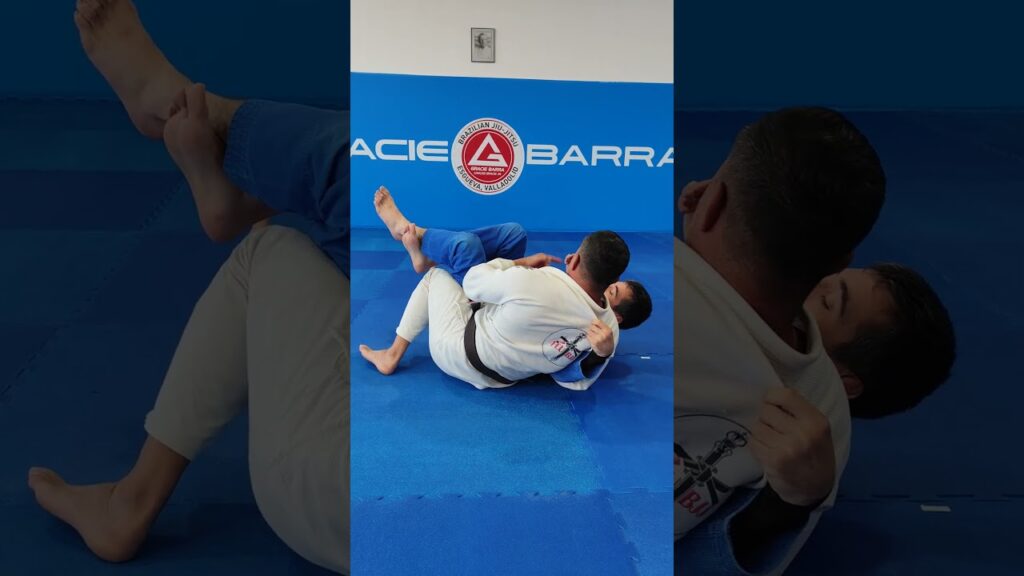 Finalize 100 Passar a Guarda jiu-jitsu Feu Bjj #jiujitsu #bjj #jiujitsutododia #mma