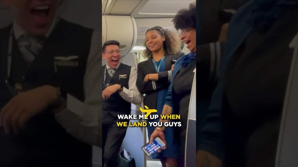Flight Attendants React to The Sleeper Hold Travel Pillow