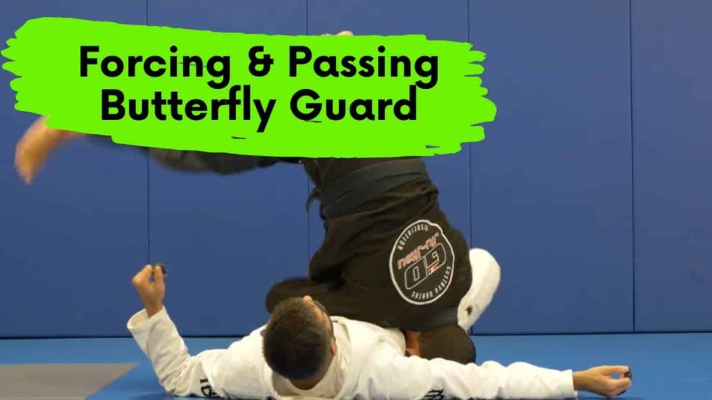 Forcing & Passing Butterfly Guard