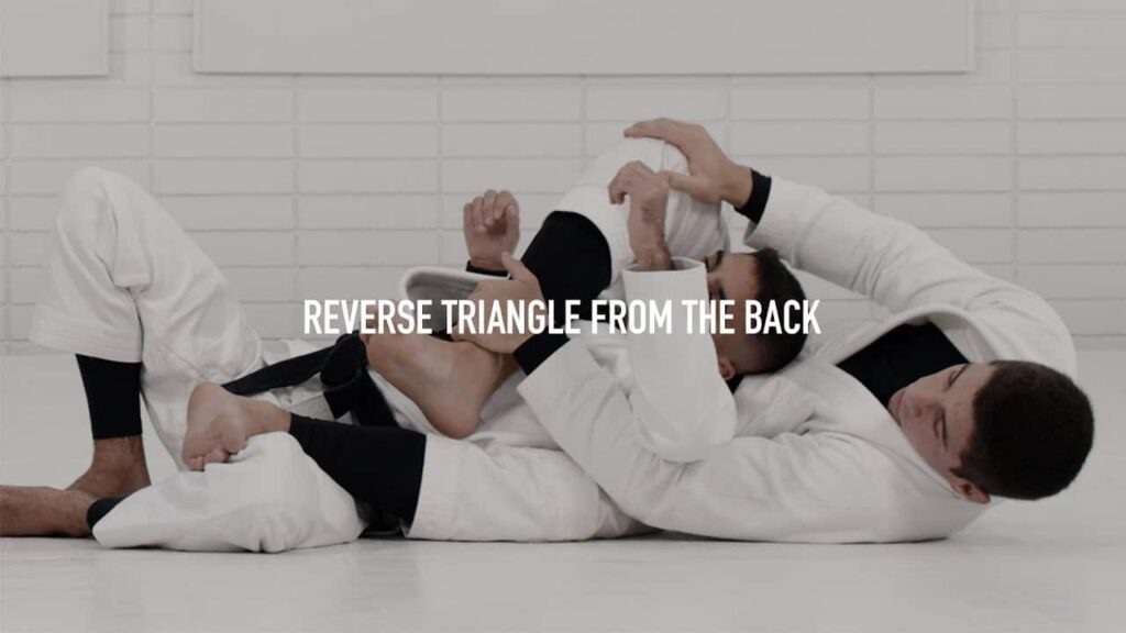 Free Technique: Reverse Triangle from the Back | Tainan Dalpra | Back Take Masterclass