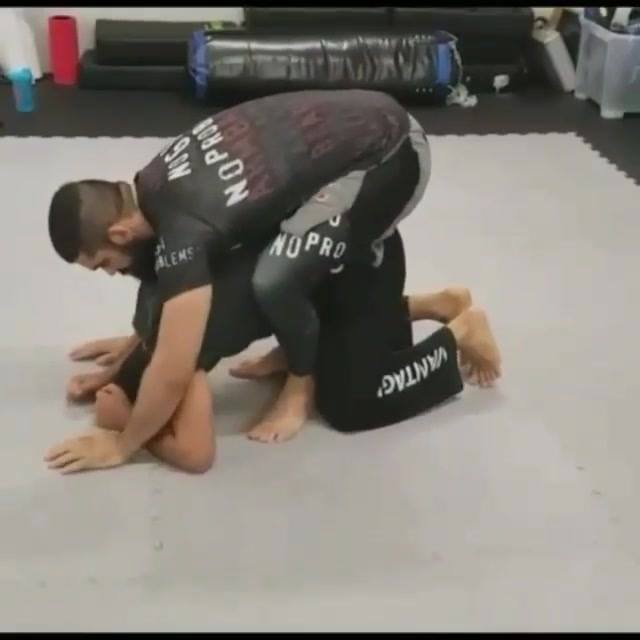 Garami From Top Turtle Position by @abelbjj