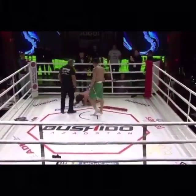Gnarly Armbar finish by Akim Abaev