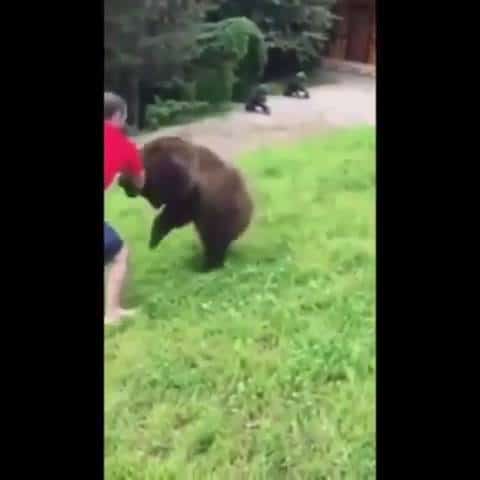 Grappling with a Bear