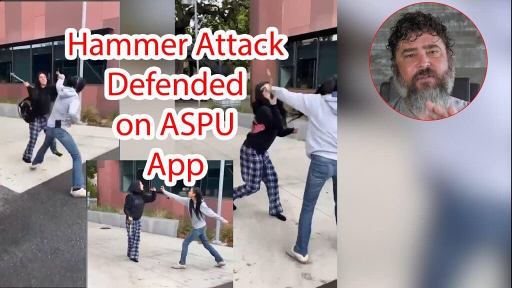 Great Pepper Spray Use Caught on Camera