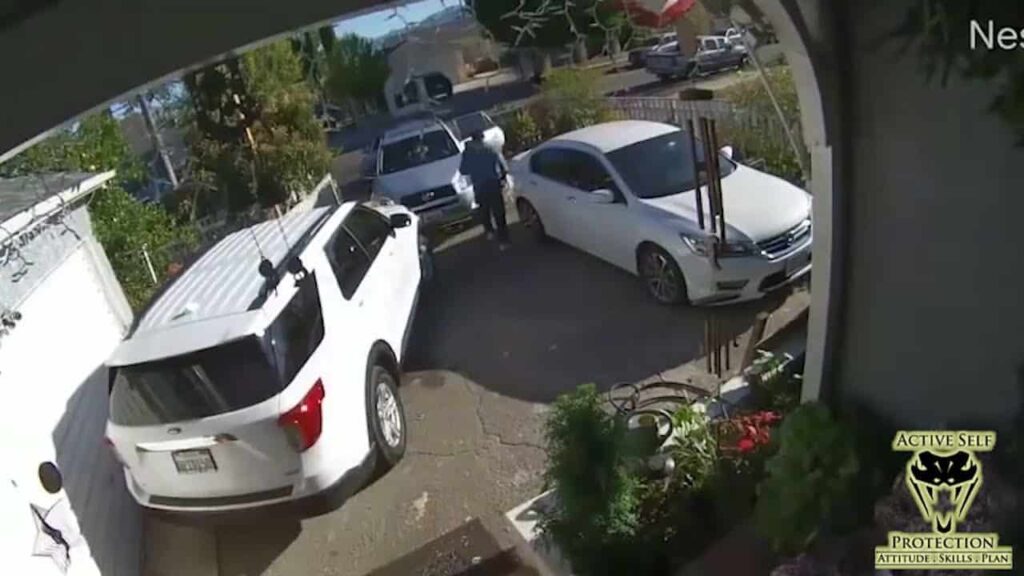 Gruesome Video Of A California Domestic