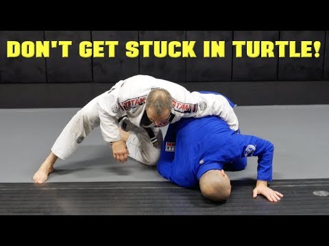 Guard Recovery From Turtle Position - BJJ Turtle Escape