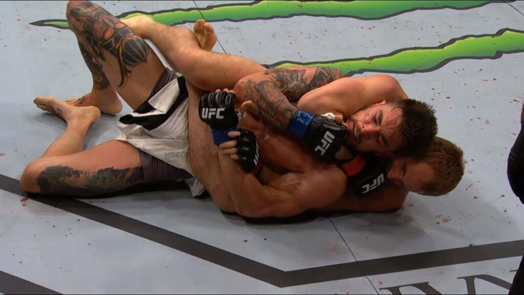 Gunnar Nelson Top 5 Finishes