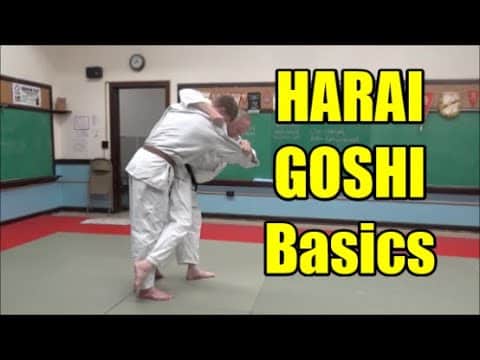 HARAI GOSHI BASICS