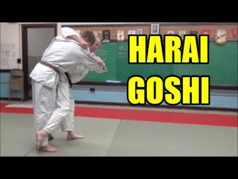 HARAI GOSHI Using Your Arms & Legs