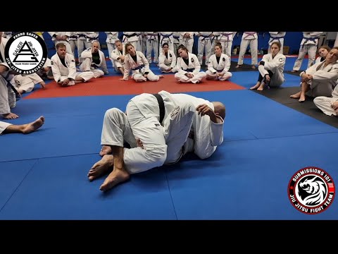 Half Guard Sweeps x2 with Pedro Sauer