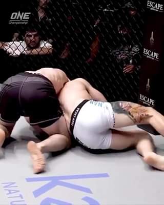 He almost pulled his head out