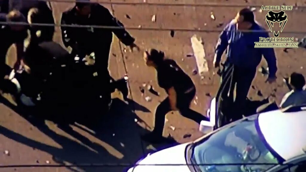 High Speed Chase Ends With Very Angry Mama Bear