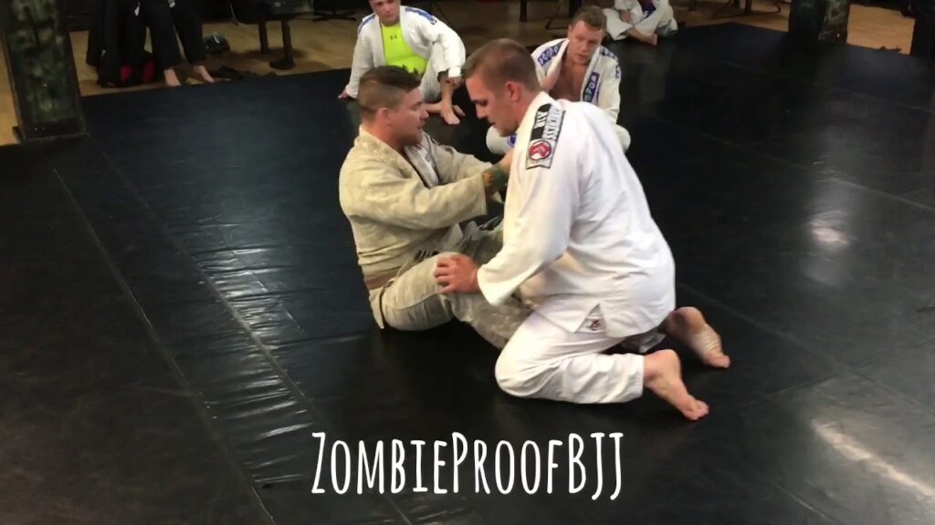 How To Properly Grade A Blue Belt - ZombieProofBJJ