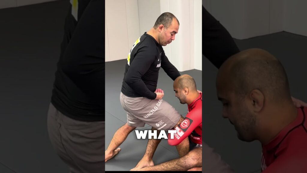 How to Do the Perfect Guillotine by Marcelo Garcia
