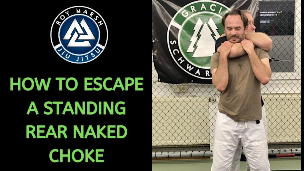 How to Escape the Standing Rear Naked Choke