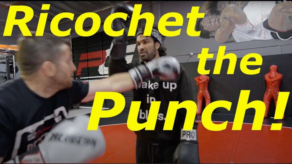 How to Parry Punches to the Head and Body!