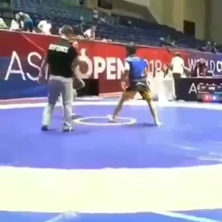 If Bruce Lee did Jiu-Jitsu!