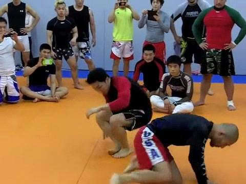 Imanari Roll by Professor Imanari Masakazu