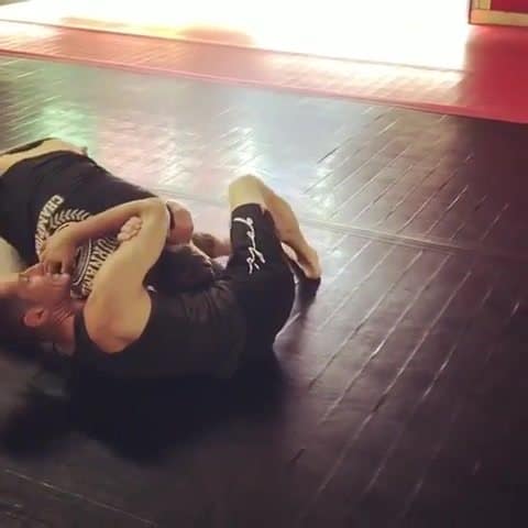 Important Turtle D'Arce Choke Tips